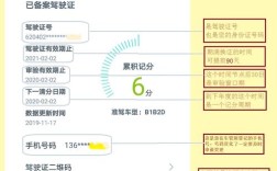 苏州12123交管官网查违章 苏州交管123123