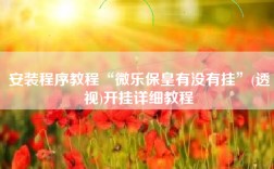 安装程序教程“微乐保皇有没有挂”(透视)开挂详细教程