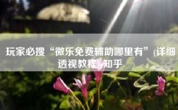 玩家必搜“微乐免费辅助哪里有”(详细透视教程)-知乎