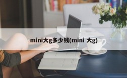 mini大g多少钱(mini 大g)