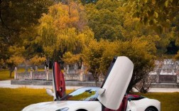 敞篷车的敞篷是什么材料 敞篷车是什么样呀