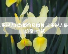 丰田锐志10款报价及图片 丰田锐志最新价格2020款