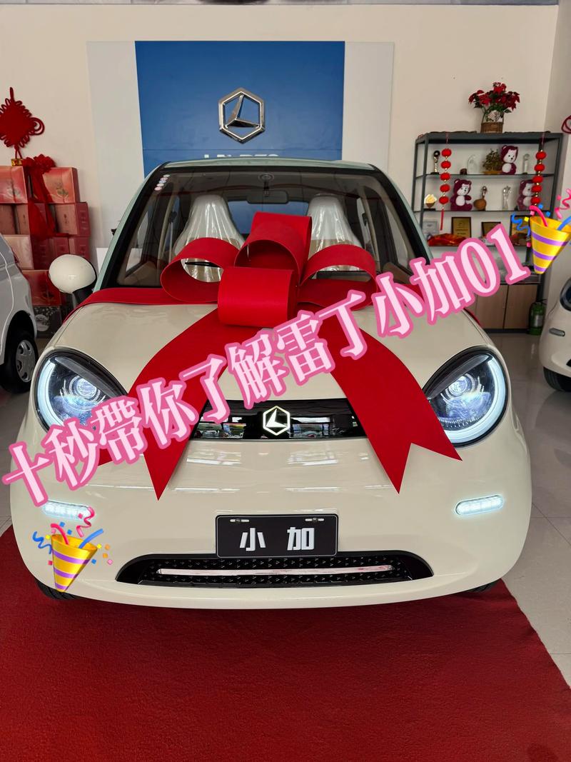 雷丁小加01图片及价格(雷丁小骑士电动汽车报价)