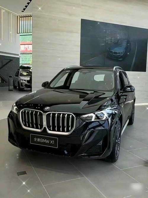 宝马x10售价多少万元,宝马x10多少钱一辆越野车