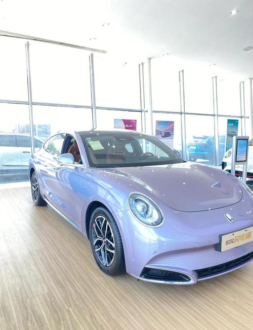 欧拉闪电猫2022款报价及图片 欧拉闪电猫 汽车之家