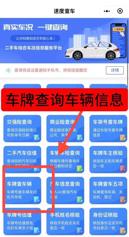 车辆号牌查询车主姓名,车辆号牌查询车主姓名信息
