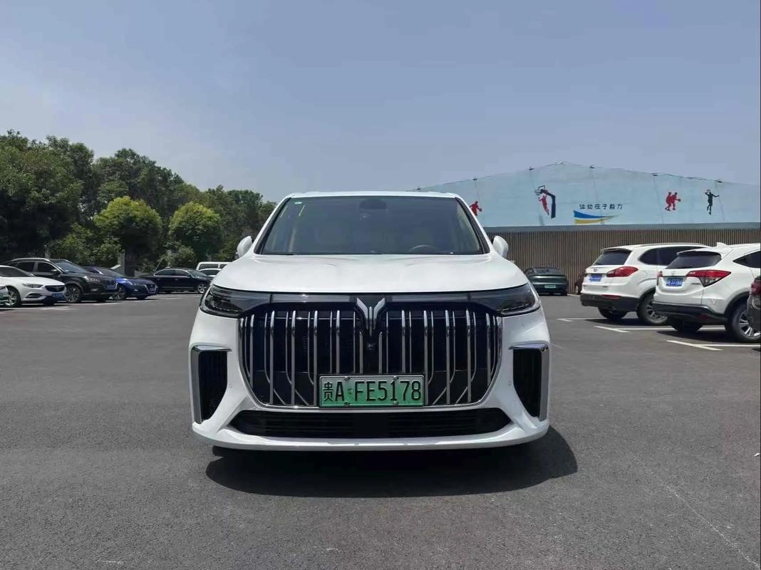 岚图汽车,岚图汽车商务车七座多少钱