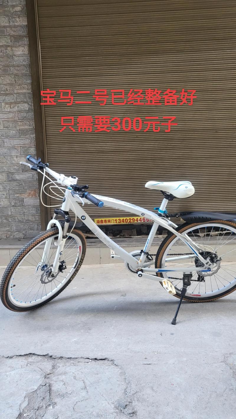 真正的宝马自行车官网,宝马自行车官网中国