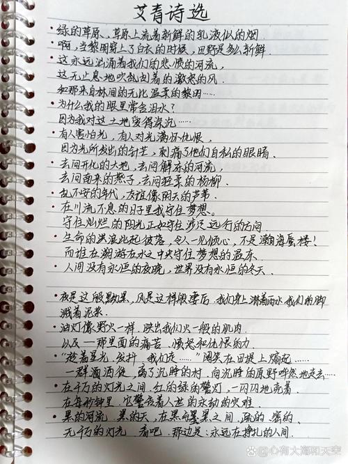 现代诗摘抄四年级下册艾青,现代古诗大全四年级艾青