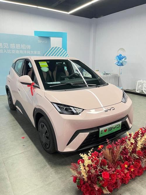 比亚迪纯电动车系列 比亚迪电动汽车系列