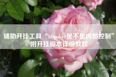 辅助开挂工具“hhpoker是不是内部控制	”附开挂脚本详细教程