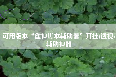 可用版本“雀神脚本辅助器	”开挂(透视)辅助神器