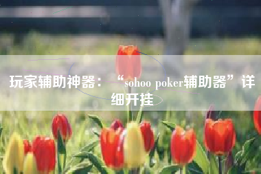 玩家辅助神器：“sohoo poker辅助器	”详细开挂