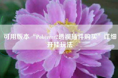 可用版本“Pokerrrr2透视插件购买	”详细开挂玩法