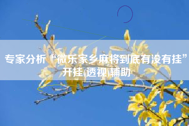 专家分析“微乐家乡麻将到底有没有挂”开挂(透视)辅助