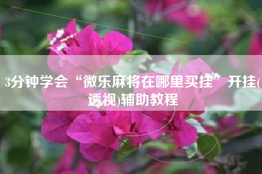 3分钟学会“微乐麻将在哪里买挂”开挂(透视)辅助教程