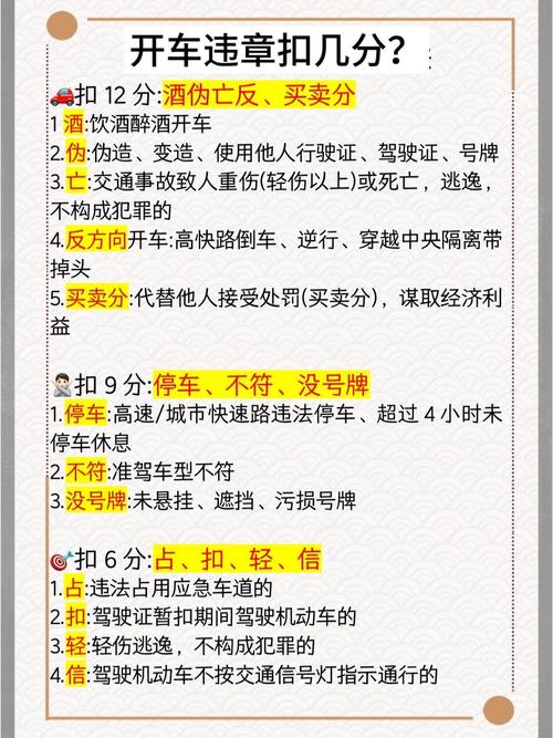 【交通违章网上查询,交通违章查询服务】