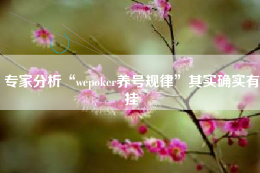 专家分析“wepoker养号规律	”其实确实有挂