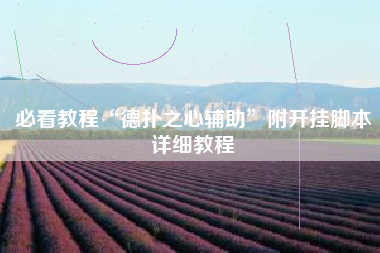 必看教程“德扑之心辅助	”附开挂脚本详细教程