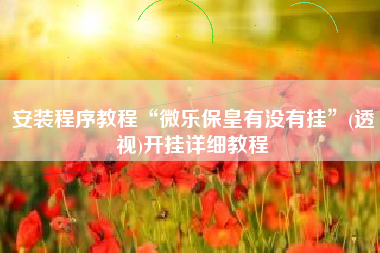 安装程序教程“微乐保皇有没有挂	”(透视)开挂详细教程