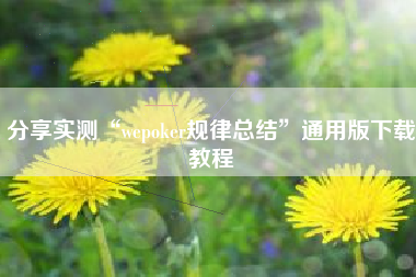 分享实测“wepoker规律总结”通用版下载教程