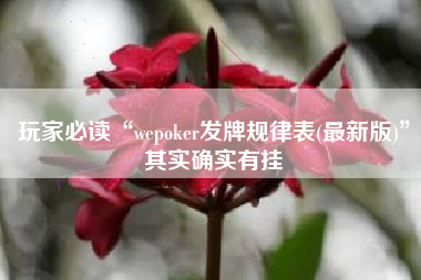 玩家必读“wepoker发牌规律表(最新版)”其实确实有挂
