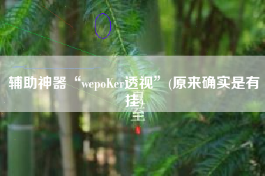 辅助神器“wepoKer透视”(原来确实是有挂)