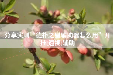 分享实测“德扑之星辅助器怎么用”开挂(透视)辅助