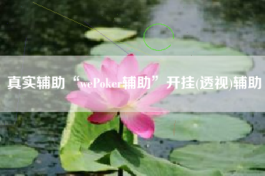 真实辅助“wePoker辅助	”开挂(透视)辅助