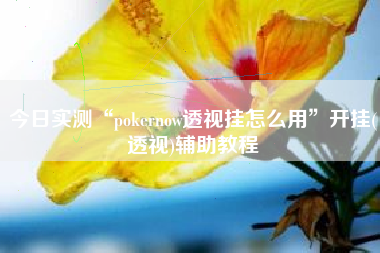 今日实测“pokernow透视挂怎么用”开挂(透视)辅助教程