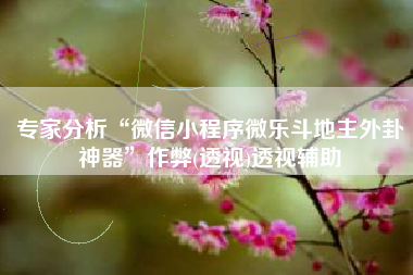 专家分析“微信小程序微乐斗地主外卦神器	”作弊(透视)透视辅助