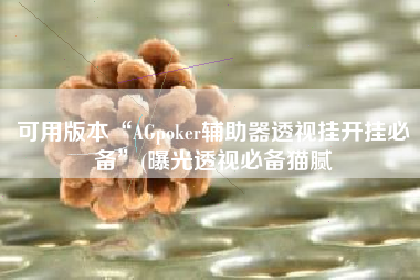 可用版本“AGpoker辅助器透视挂开挂必备”(曝光透视必备猫腻