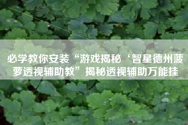 必学教你安装“游戏揭秘‘智星德州菠萝透视辅助教”揭秘透视辅助万能挂
