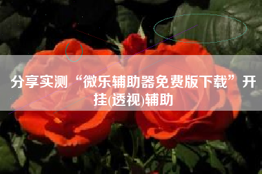 分享实测“微乐辅助器免费版下载”开挂(透视)辅助