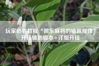 玩家必看教程“微乐麻将的输赢规律	”开挂辅助脚本+详细开挂