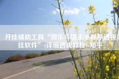 开挂辅助工具“微乐斗地主小程序透视挂软件”(详细透视教程)-知乎