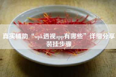 真实辅助“wpk透视app有哪些	”详细分享装挂步骤