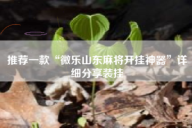 推荐一款“微乐山东麻将开挂神器	”详细分享装挂