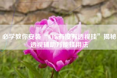 必学教你安装“WPK有没有透视挂”揭秘透视辅助万能挂用法