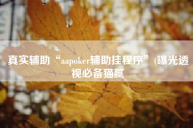 真实辅助“aapoker辅助挂程序”(曝光透视必备猫腻