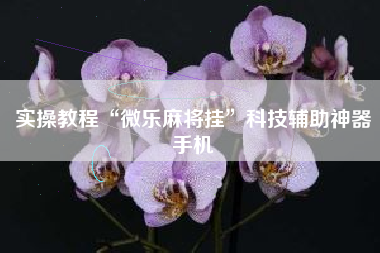 实操教程“微乐麻将挂	”科技辅助神器手机