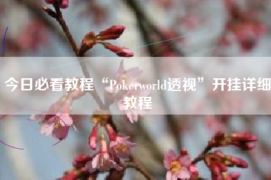 今日必看教程“Pokerworld透视”开挂详细教程 今日必看教程“Pokerworld透视”开挂详细教程