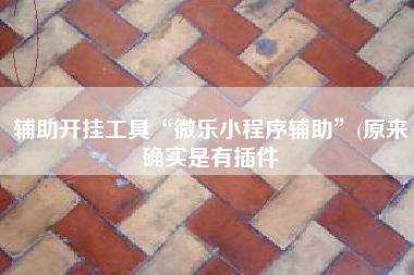 辅助开挂工具“微乐小程序辅助”(原来确实是有插件