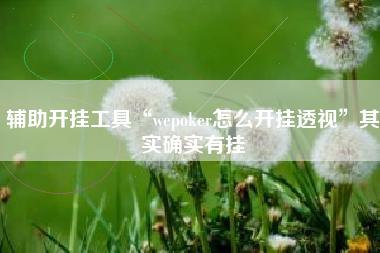 辅助开挂工具“wepoker怎么开挂透视	”其实确实有挂