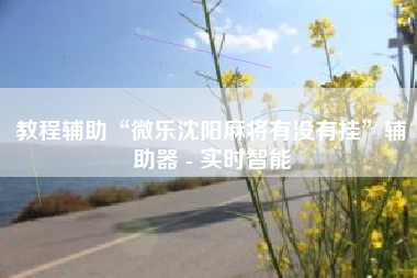 教程辅助“微乐沈阳麻将有没有挂”辅助器 - 实时智能