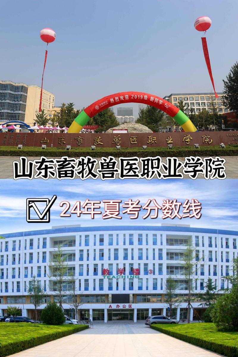 山东畜牧兽医职业学院(山东畜牧兽医职业学院招聘)